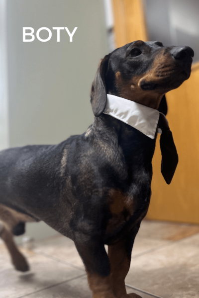 BOTY-1-724x1024