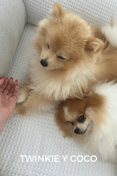 COCO-Y-TWINKIE-724x1024