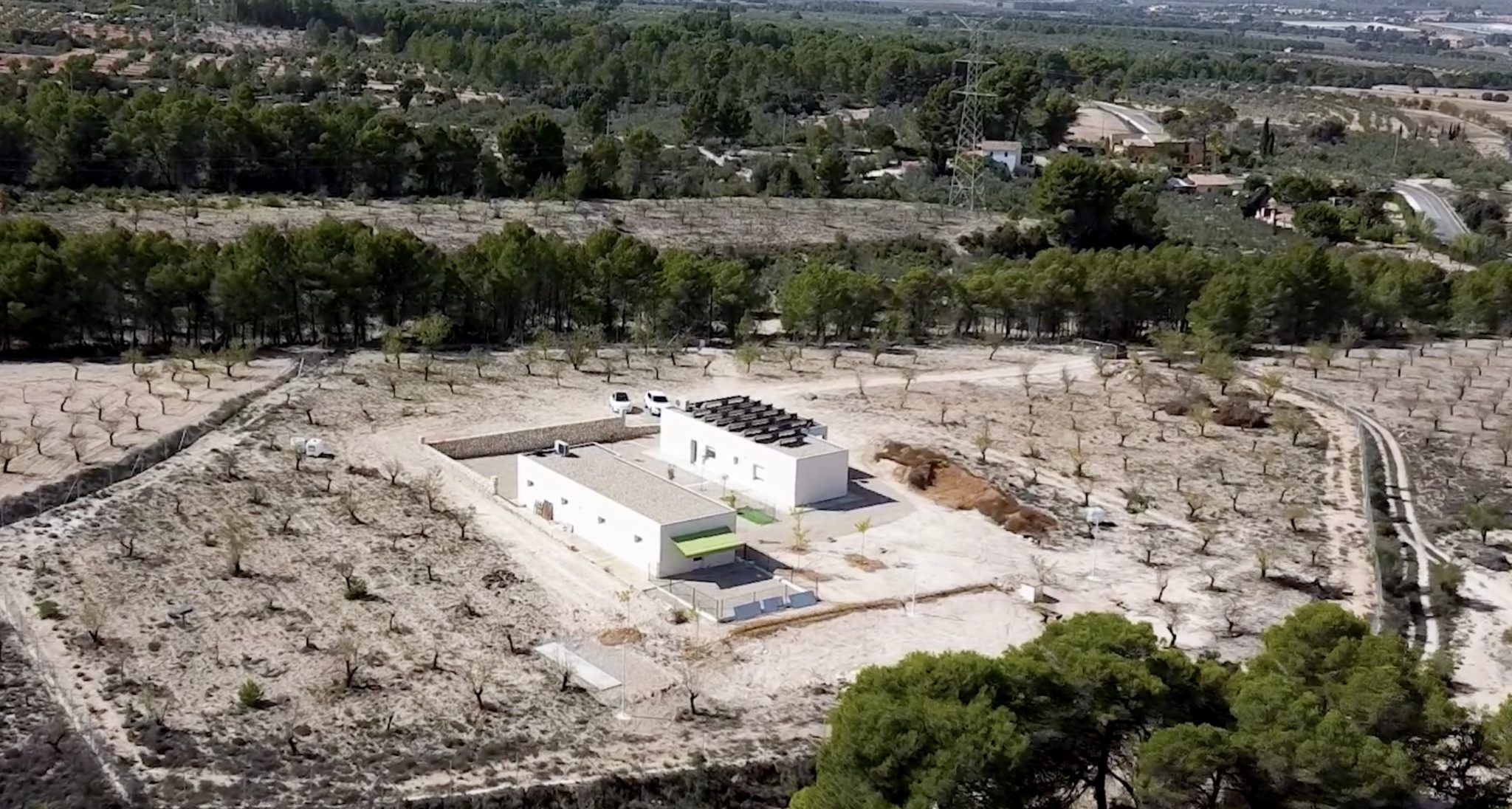 Criadero de perros Savecan bichón maltés, yorkshire y caniche