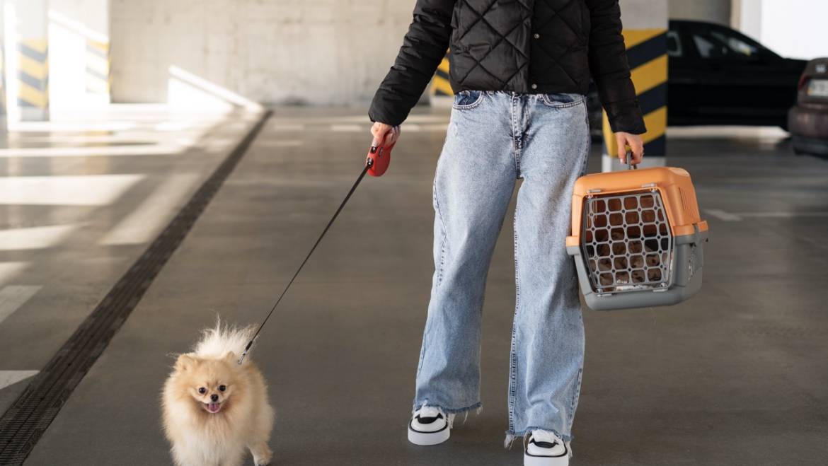 Consejos para comprar cachorros online de forma segura