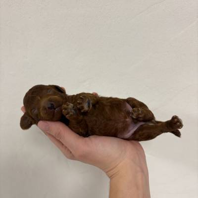 IMG_8436 2 en tamaño grande